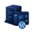 Wordpress Hosting Wordpress Hosting